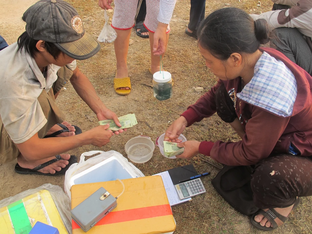 Ngư dân Việt kiếm vài trăm triệu đồng mỗi đêm ảnh 3